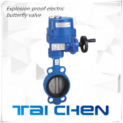 防爆電動(dòng)對(duì)夾式蝶閥圖片